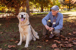 How to include Dogs in Aged Care for Better Wellbeing?